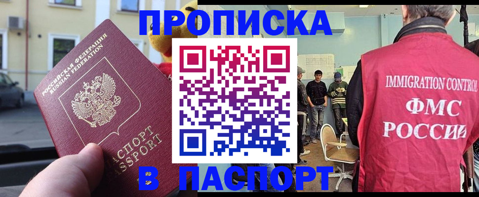 временная регистрация поиск в Новоузенске